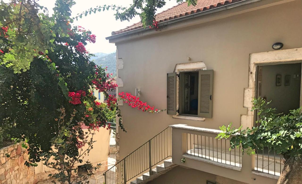 Alicelia Boutique Inn 瓦西 外观 照片